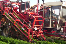 koop landbouw